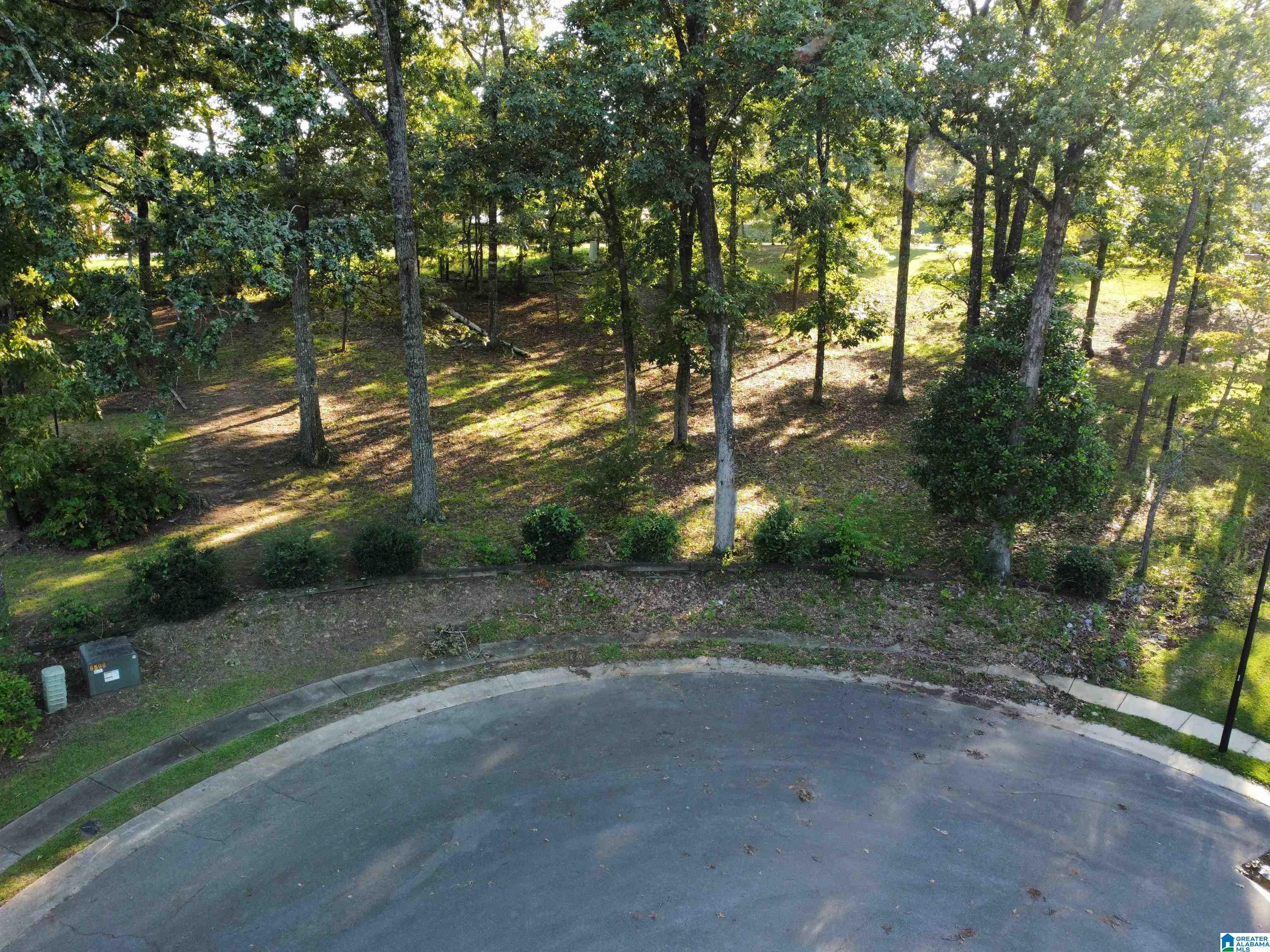 Lot 16 Riley Circle, Unit 16 Thorsby, AL 35171 - Photo 5 of 19