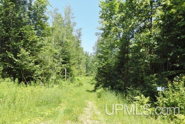 155 Wright Road Crystal Falls, MI 49920 - Photo 10 of 30 Gallery Image 10
