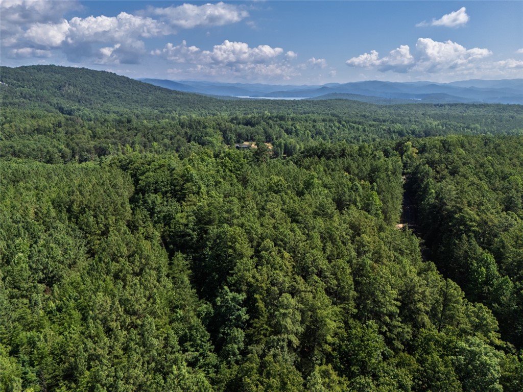 231 Jocassee Ridge Way Salem, SC 29676 - Photo 6 of 15 A tranquil aerial perspective reveals lush, verdant woodlands extending towards distant, serene waters.