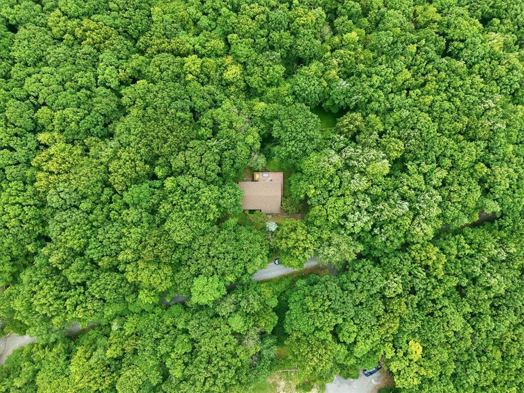 520 Highland Hill Road Jim Thorpe, PA 18235 - Photo 74 of 83 Nestled deep within a vibrant, verdant forest, a private residence offers unparalleled seclusion.