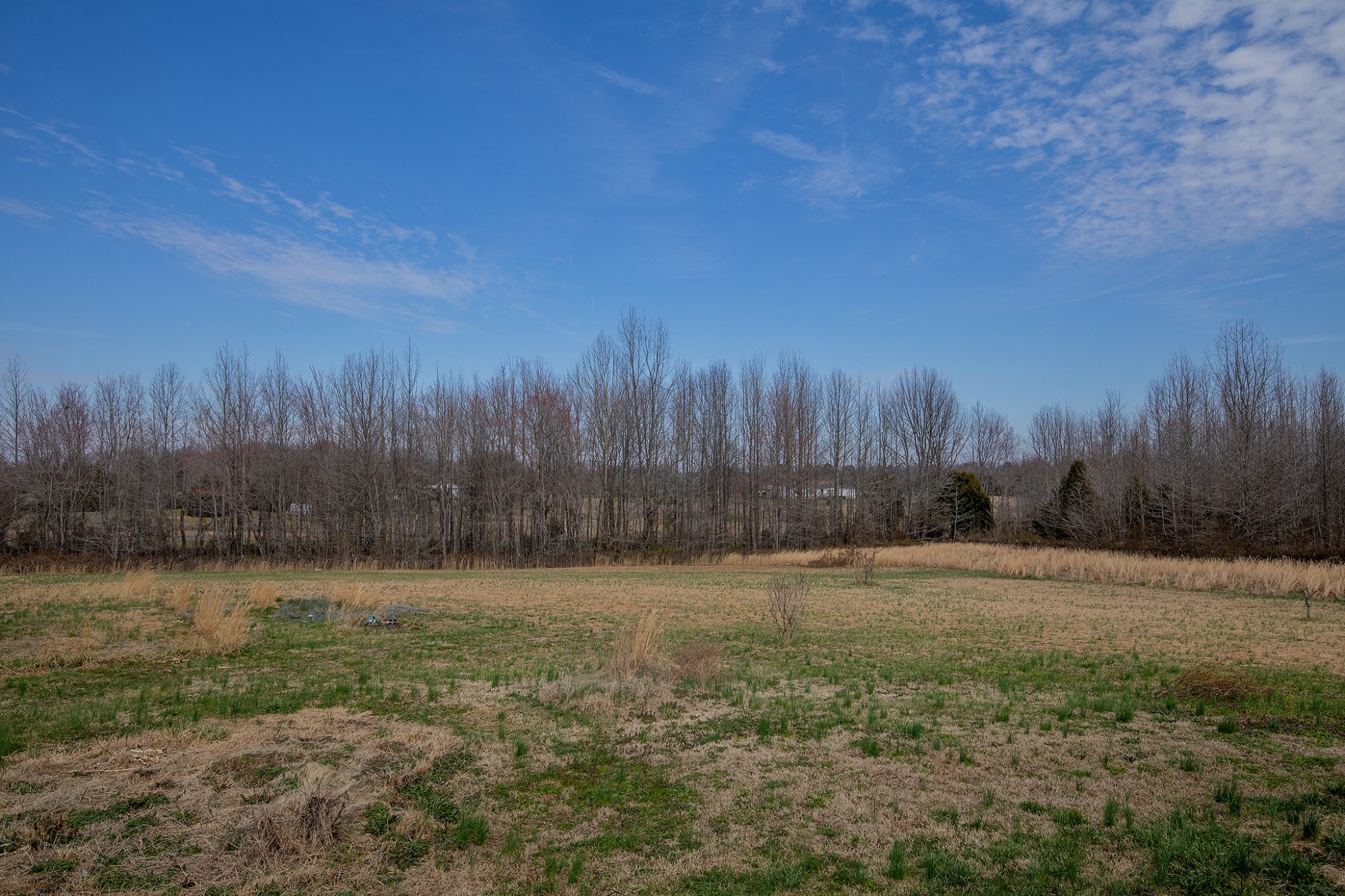 2113 Sugar Camp Road Springfield, TN 37172 - Photo 2 of 47 a view of a yard