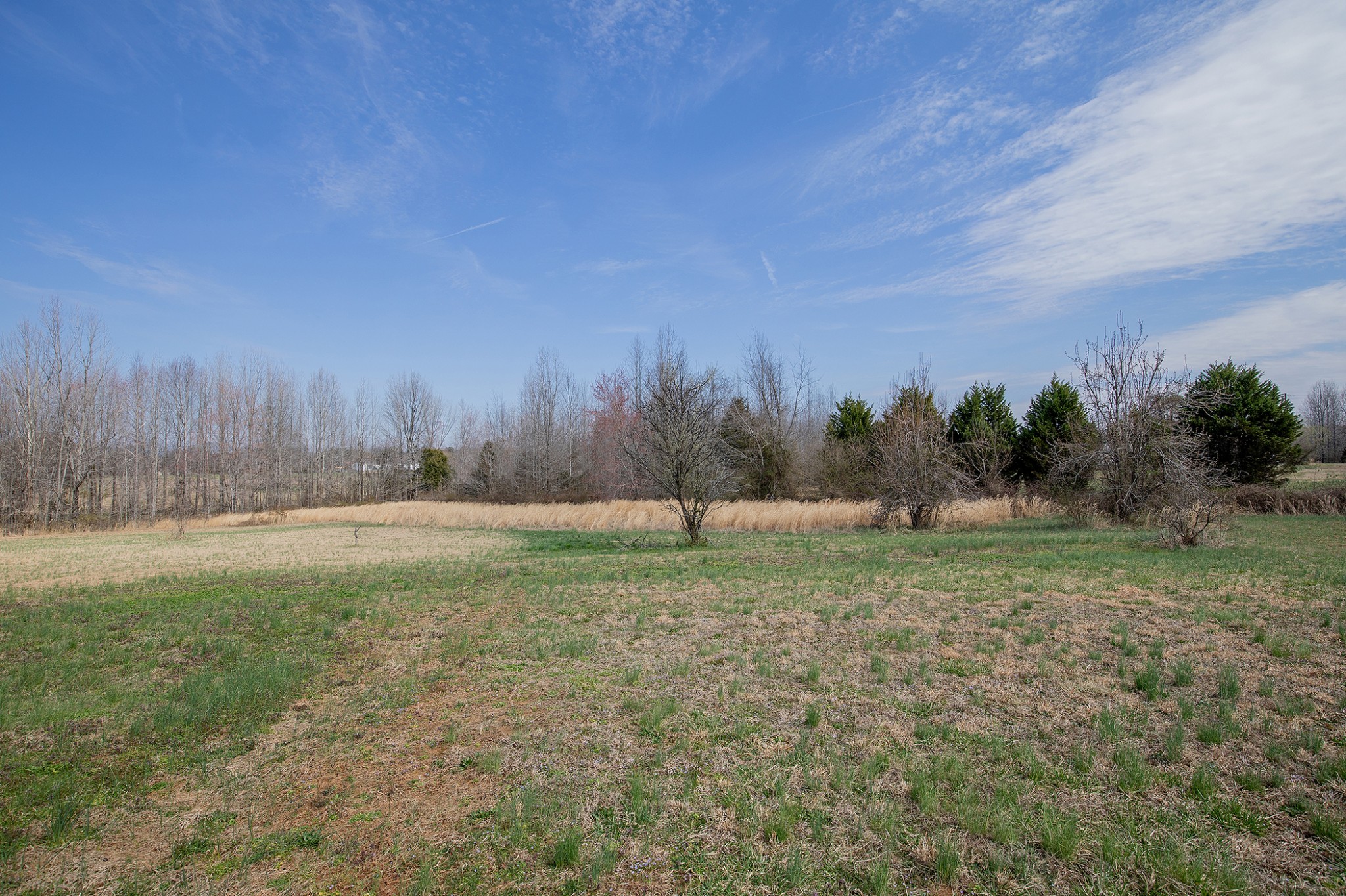 2113 Sugar Camp Road Springfield, TN 37172 - Photo 32 of 47 a view of outdoor space with trees all around