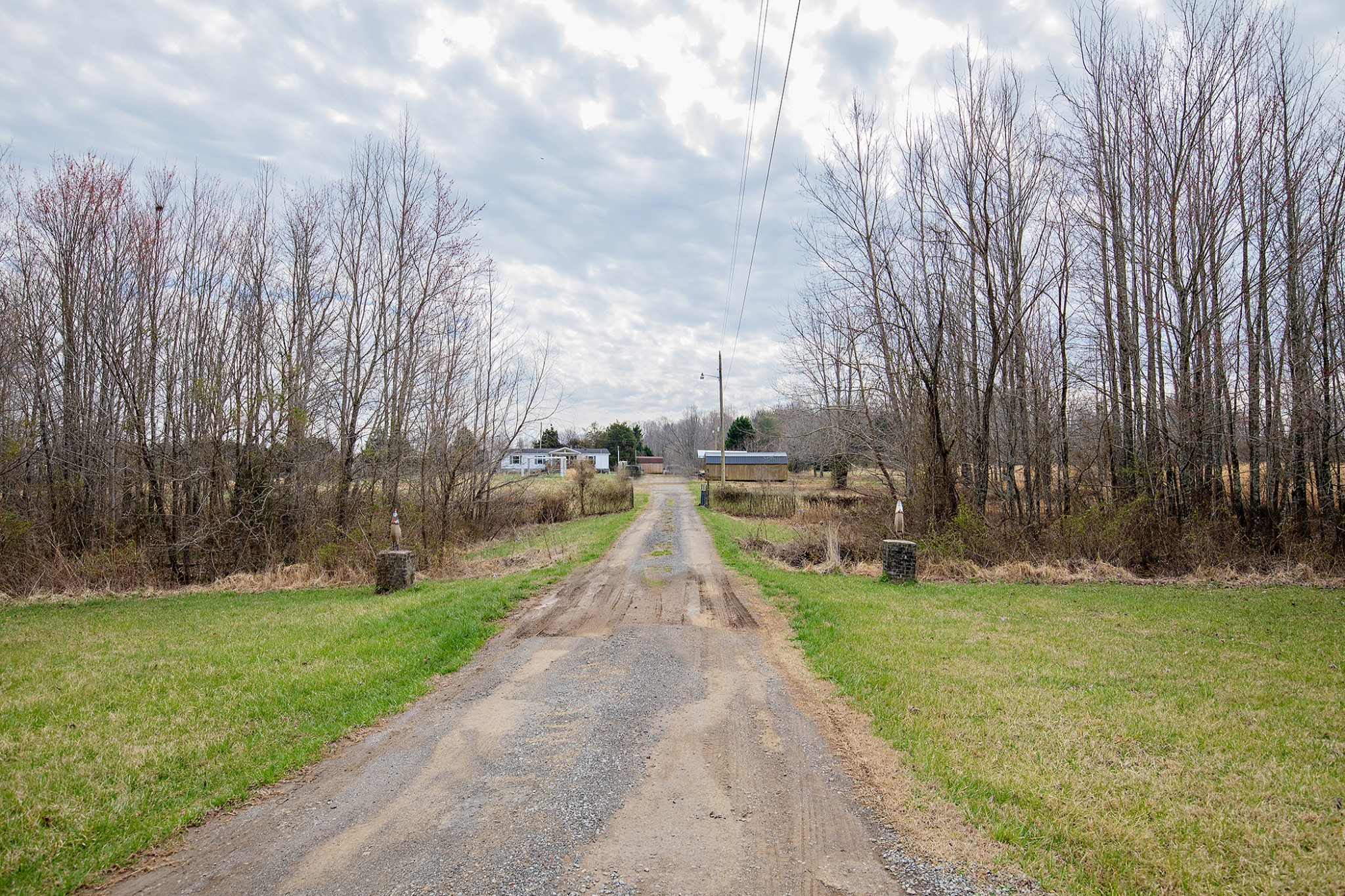 2113 Sugar Camp Road Springfield, TN 37172 - Photo 47 of 47 a view of park with tree