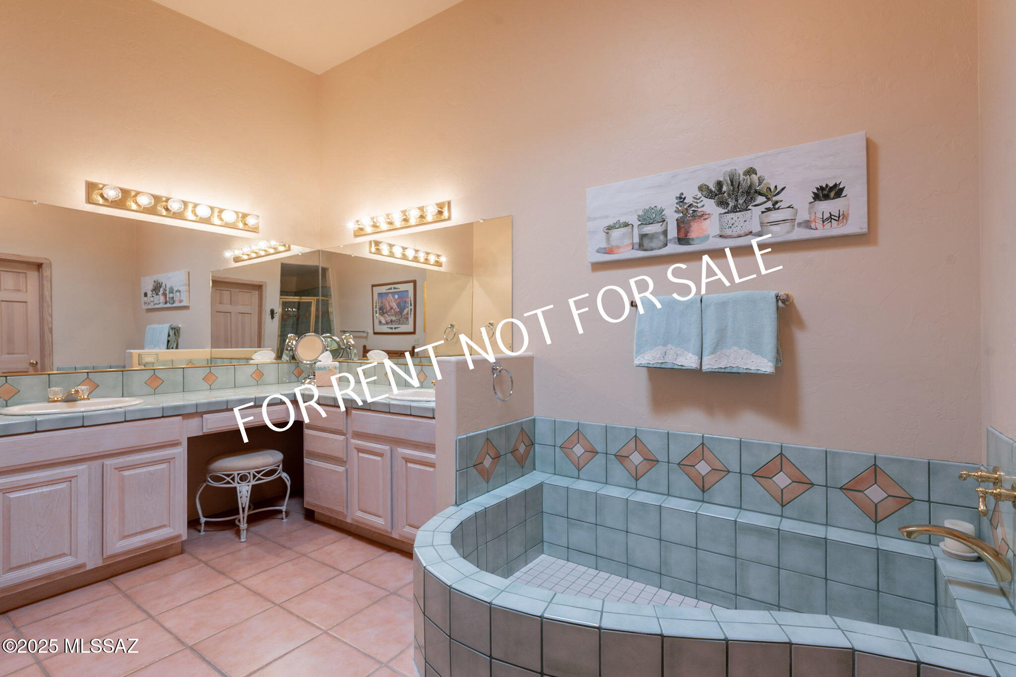 9876 North Ridge Shadow Place Tucson, AZ 85704 - Photo 31 of 48