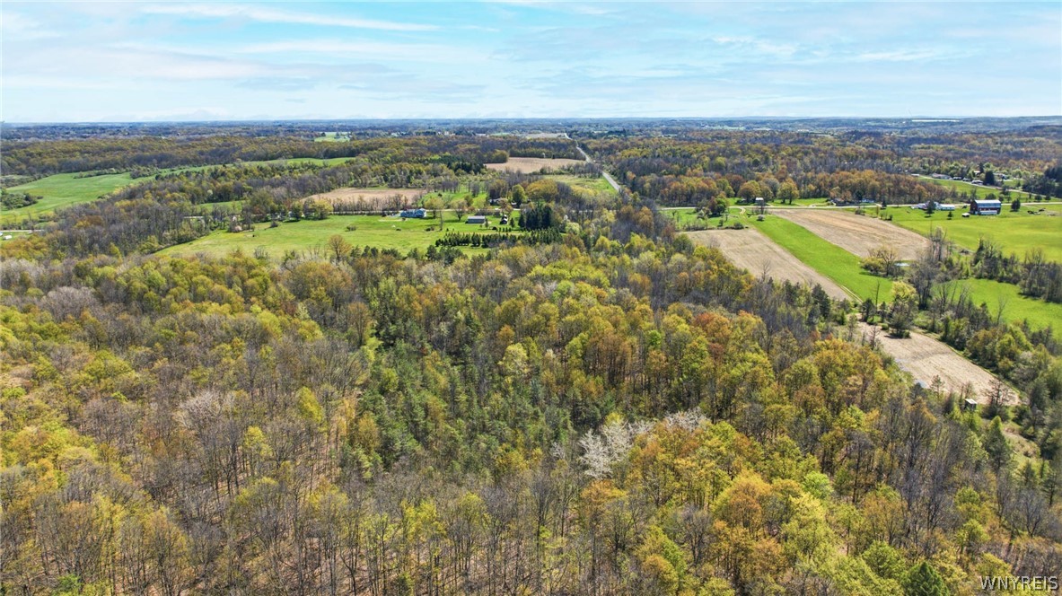 9832 Francis Road Batavia, NY 14020 - Photo 8 of 49