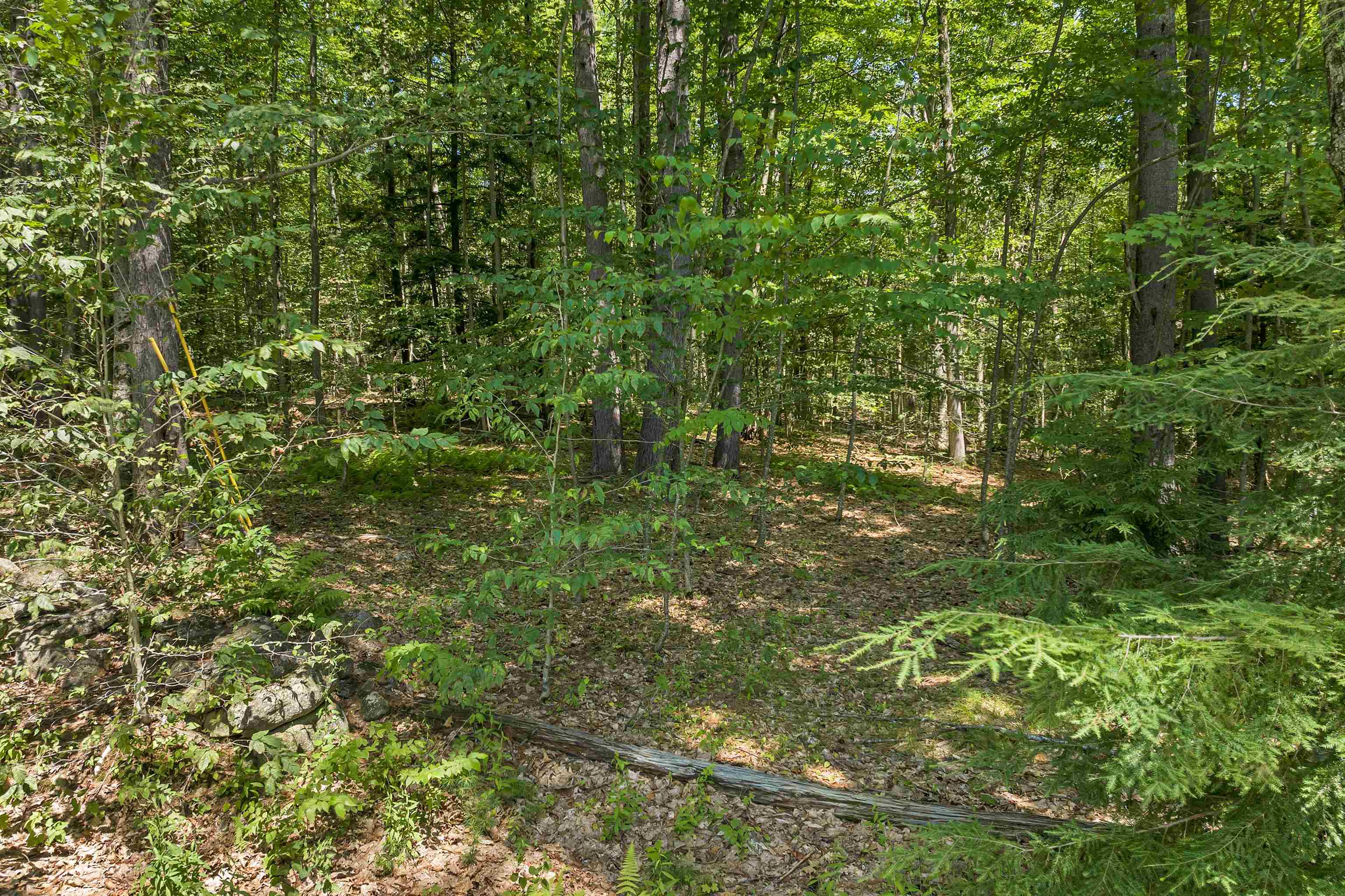101-125 Winslow Road Weare, NH 03281 - Photo 15 of 22