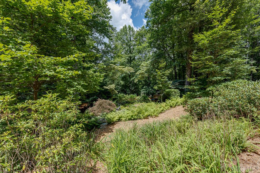 383 Queen Mountain Road Highlands, NC 28741 - Photo 42 of 44 Gallery Image 42