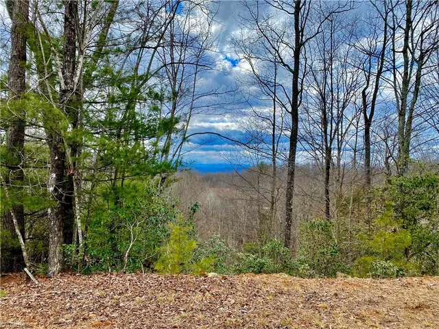 $45,000 | Lot 1 Pinnacle Drive, Boomer, NC 28606