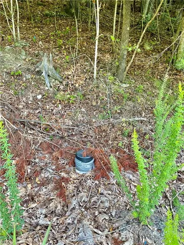 $45,000 | Lot 1 Pinnacle Drive, Boomer, NC 28606