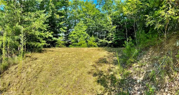 $45,000 | Lot 1 Pinnacle Drive, Boomer, NC 28606