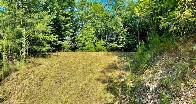 $45,000 | Lot 1 Pinnacle Drive, Boomer, NC 28606