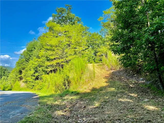 $45,000 | Lot 1 Pinnacle Drive, Boomer, NC 28606