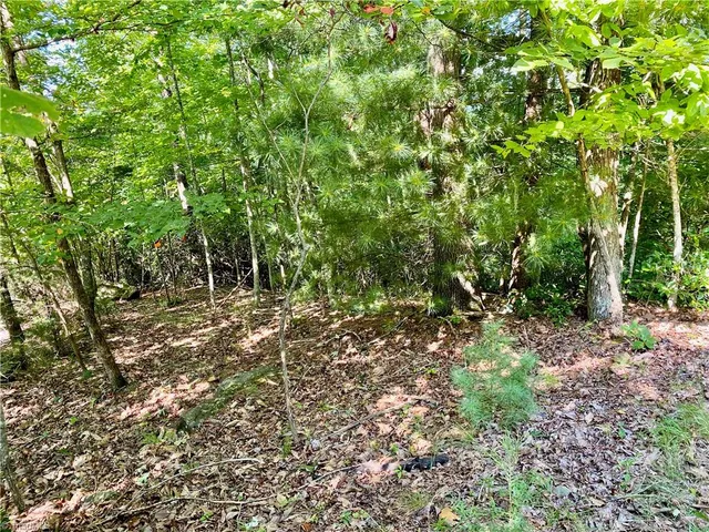 $45,000 | Lot 1 Pinnacle Drive, Boomer, NC 28606