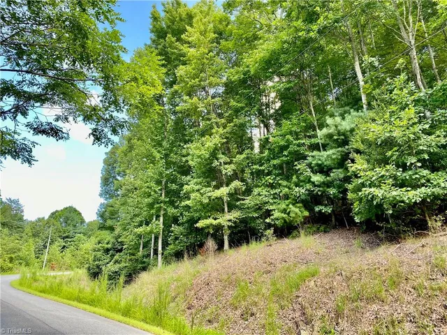 $45,000 | Lot 1 Pinnacle Drive, Boomer, NC 28606