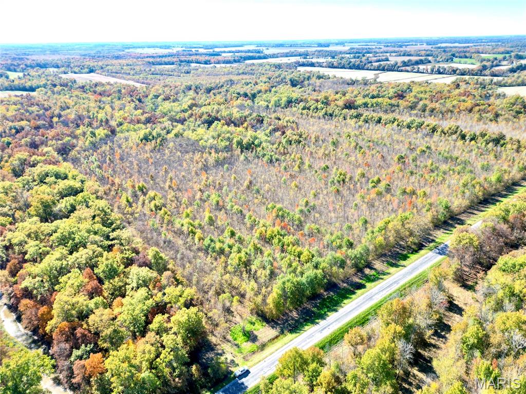 0 East Elbow Lane Noble, IL 62868 - Photo 1 of 29