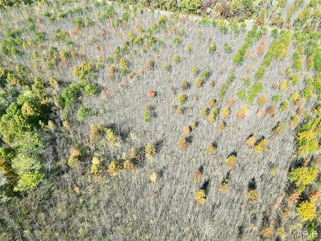 $385,000 | 0 East Elbow Lane, Noble, IL 62868