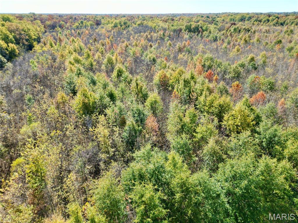 0 East Elbow Lane Noble, IL 62868 - Photo 12 of 29