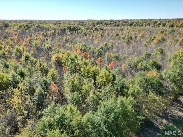 $385,000 | 0 East Elbow Lane, Noble, IL 62868