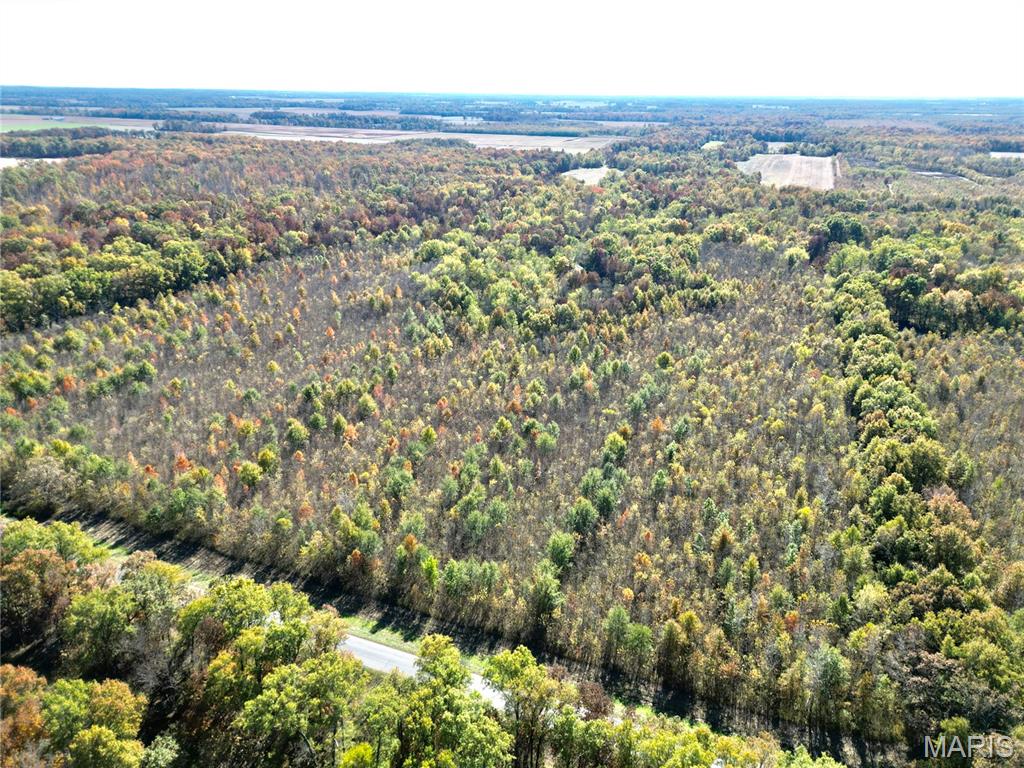 0 East Elbow Lane Noble, IL 62868 - Photo 14 of 29