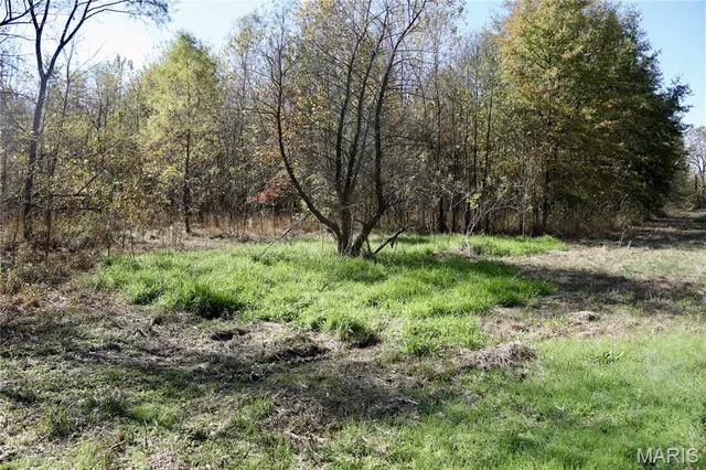 $385,000 | 0 East Elbow Lane, Noble, IL 62868