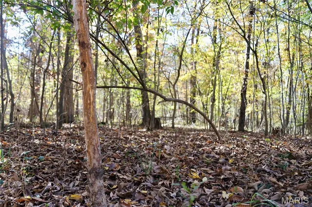 $385,000 | 0 East Elbow Lane, Noble, IL 62868