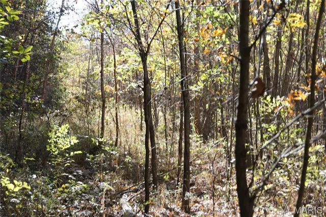 $385,000 | 0 East Elbow Lane, Noble, IL 62868