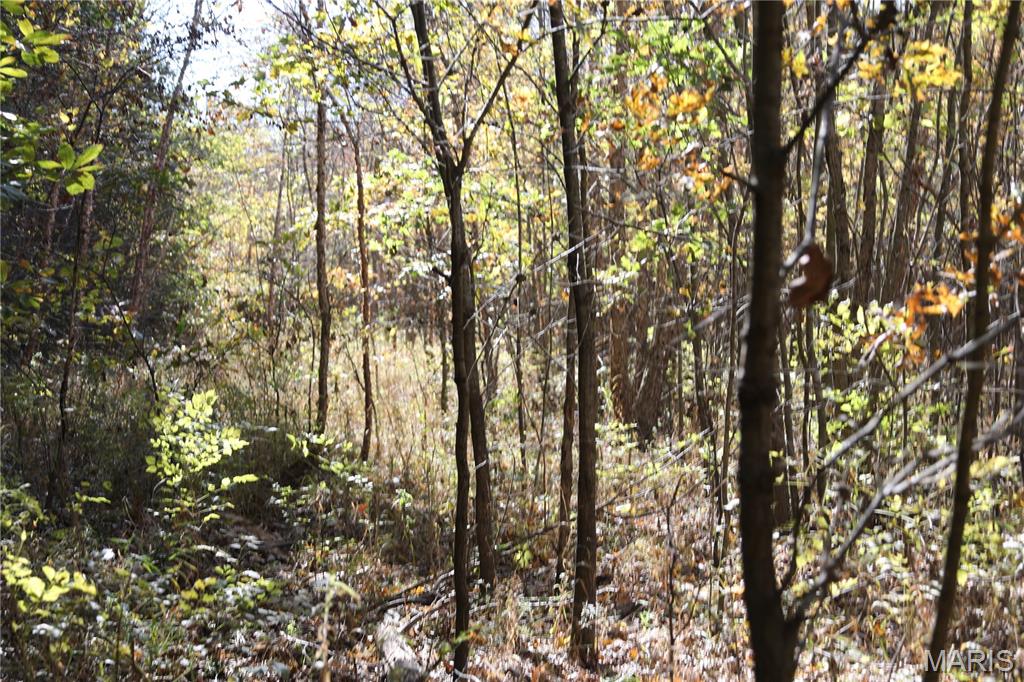 0 East Elbow Lane Noble, IL 62868 - Photo 17 of 29