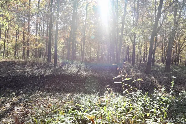 $385,000 | 0 East Elbow Lane, Noble, IL 62868