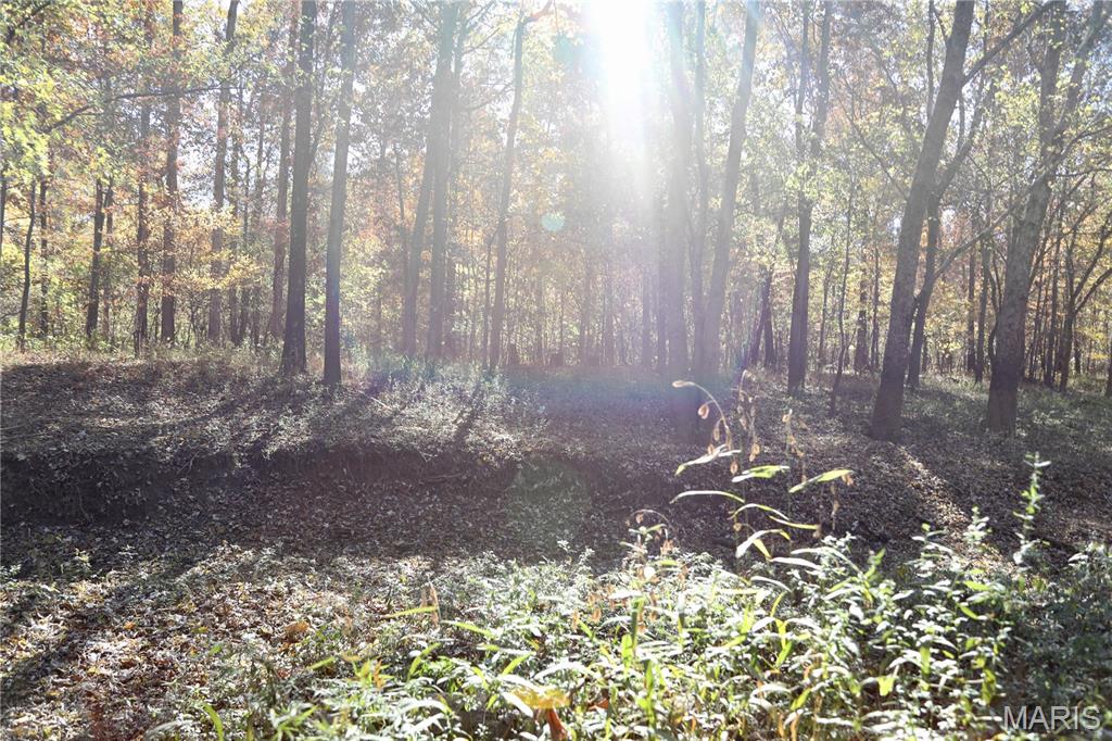 0 East Elbow Lane Noble, IL 62868 - Photo 18 of 29