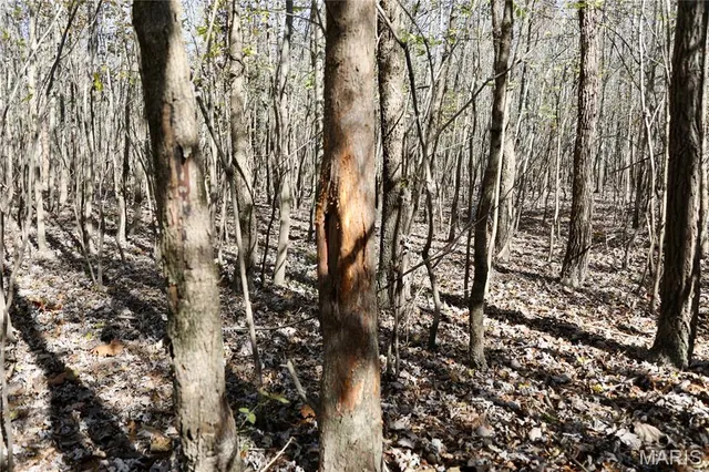 $385,000 | 0 East Elbow Lane, Noble, IL 62868