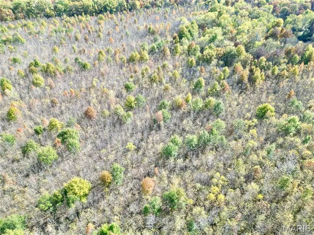 $385,000 | 0 East Elbow Lane, Noble, IL 62868