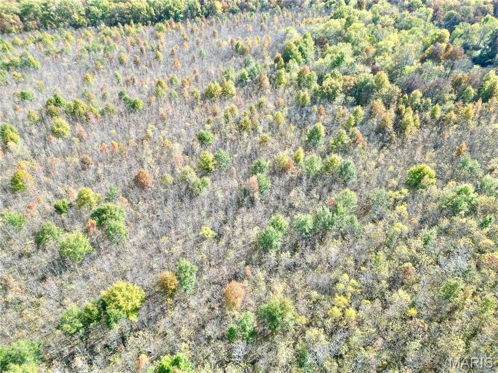 0 East Elbow Lane Noble, IL 62868 - Photo 2 of 29