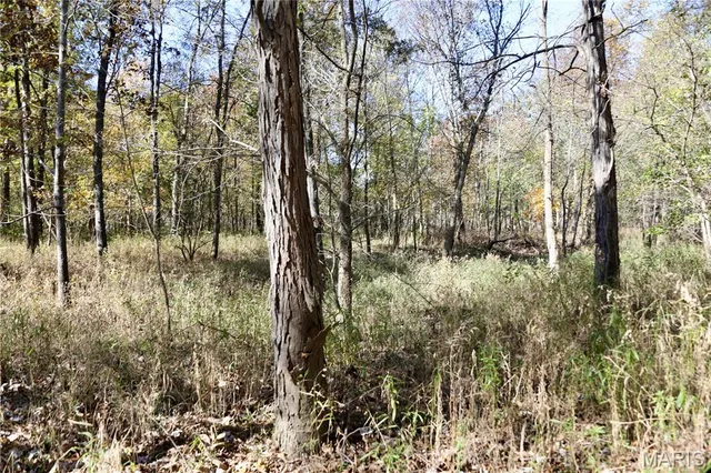 $385,000 | 0 East Elbow Lane, Noble, IL 62868