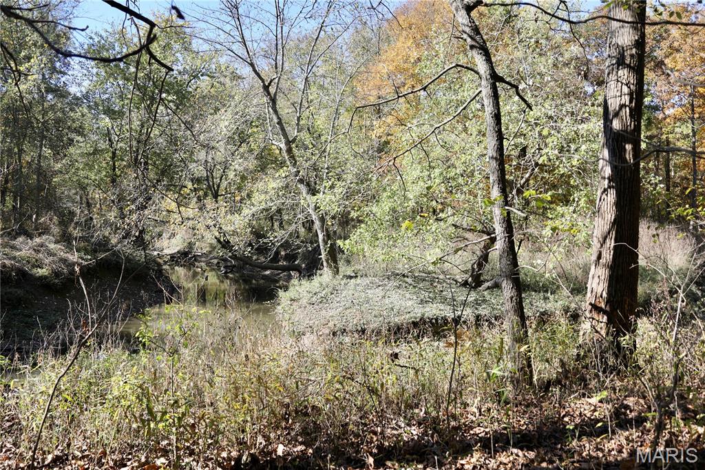 0 East Elbow Lane Noble, IL 62868 - Photo 22 of 29