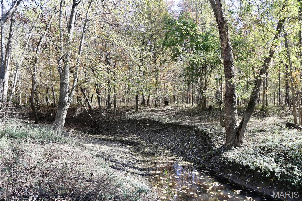 0 East Elbow Lane Noble, IL 62868 - Photo 23 of 29