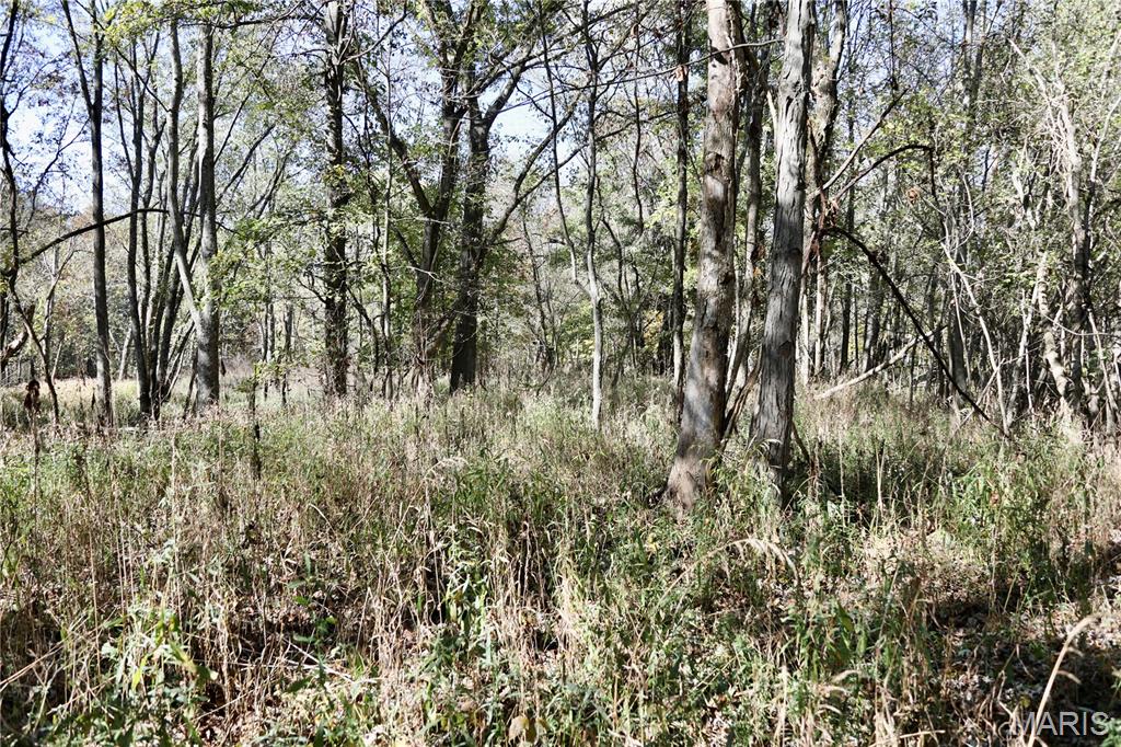 0 East Elbow Lane Noble, IL 62868 - Photo 24 of 29