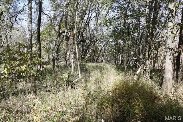 $385,000 | 0 East Elbow Lane, Noble, IL 62868