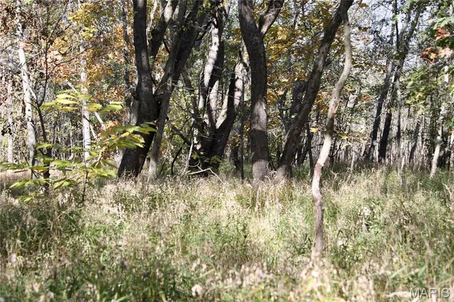 $385,000 | 0 East Elbow Lane, Noble, IL 62868