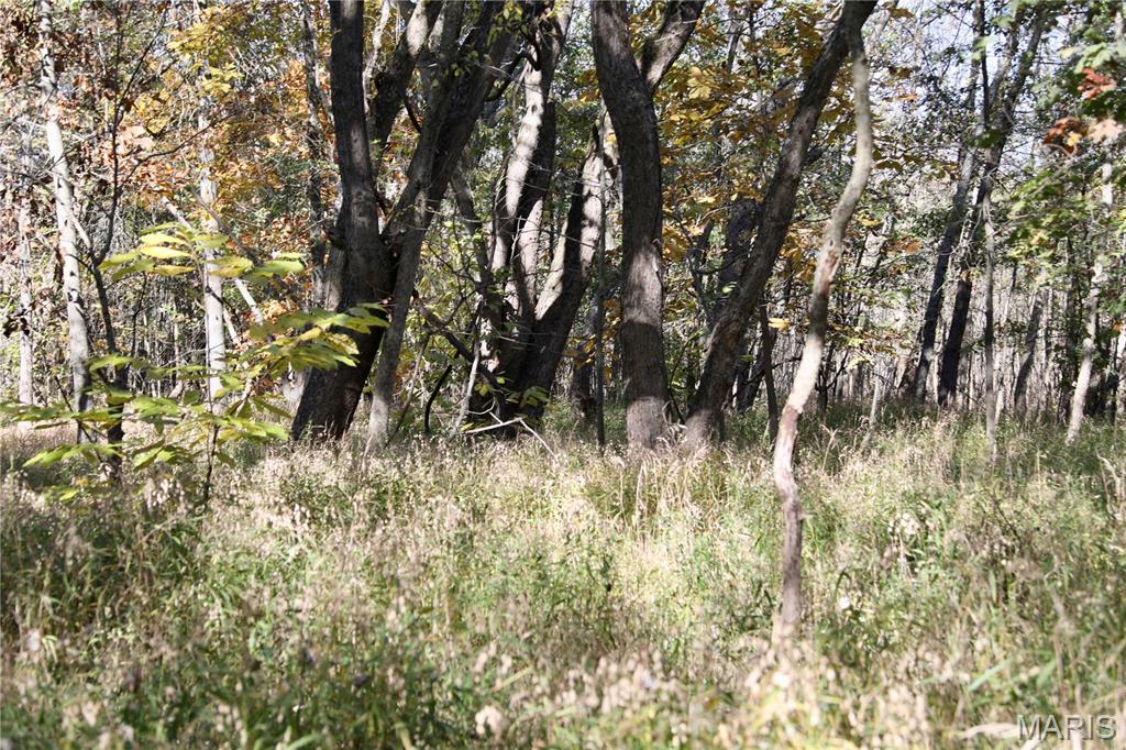 0 East Elbow Lane Noble, IL 62868 - Photo 26 of 29