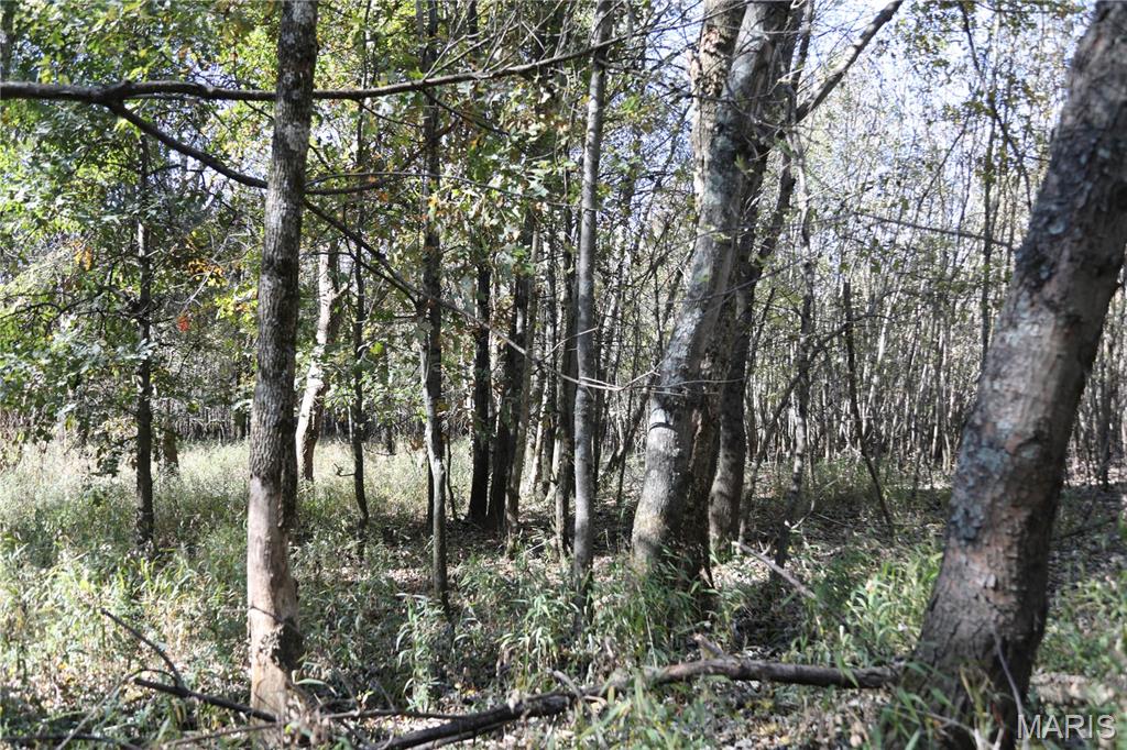 0 East Elbow Lane Noble, IL 62868 - Photo 27 of 29