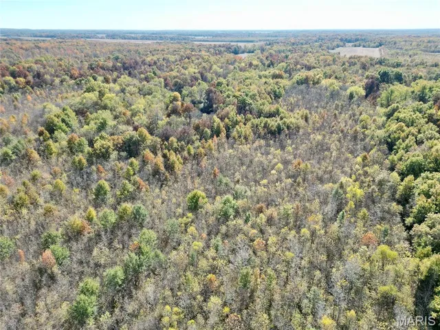 $385,000 | 0 East Elbow Lane, Noble, IL 62868