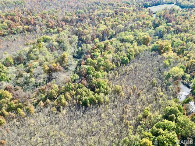 $385,000 | 0 East Elbow Lane, Noble, IL 62868