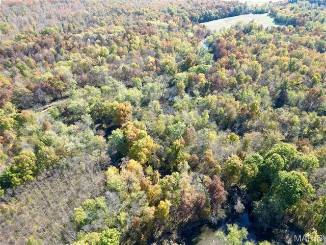 $385,000 | 0 East Elbow Lane, Noble, IL 62868