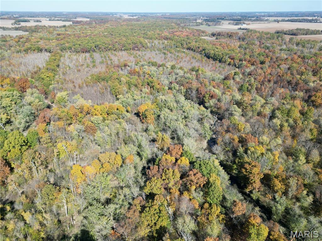 0 East Elbow Lane Noble, IL 62868 - Photo 6 of 29