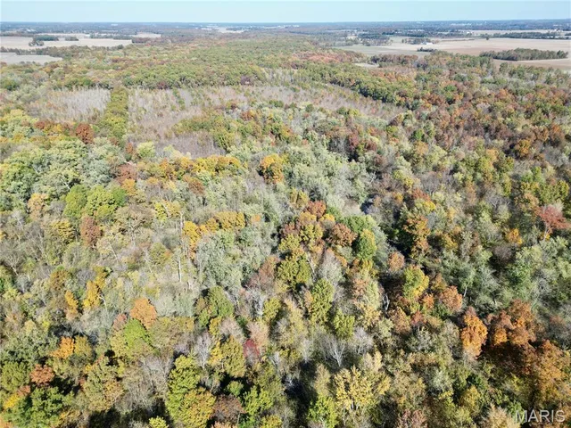 $385,000 | 0 East Elbow Lane, Noble, IL 62868