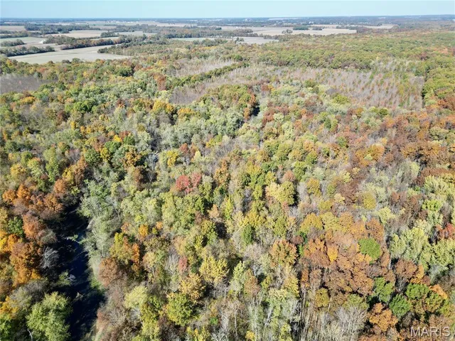 $385,000 | 0 East Elbow Lane, Noble, IL 62868