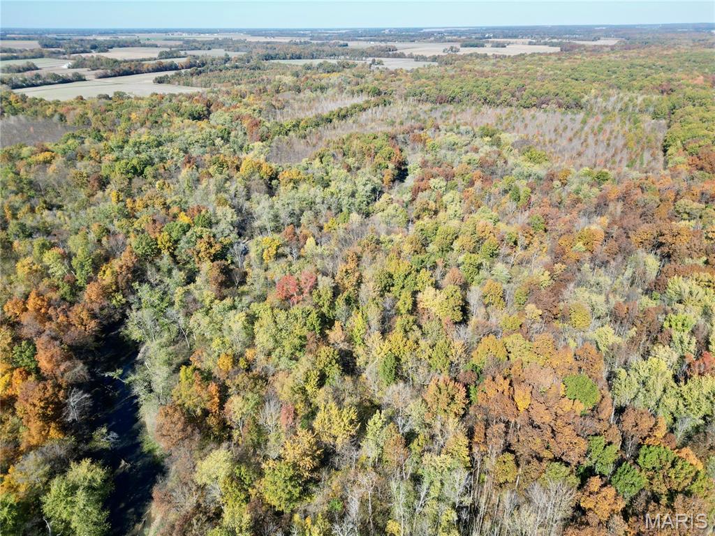 0 East Elbow Lane Noble, IL 62868 - Photo 8 of 29