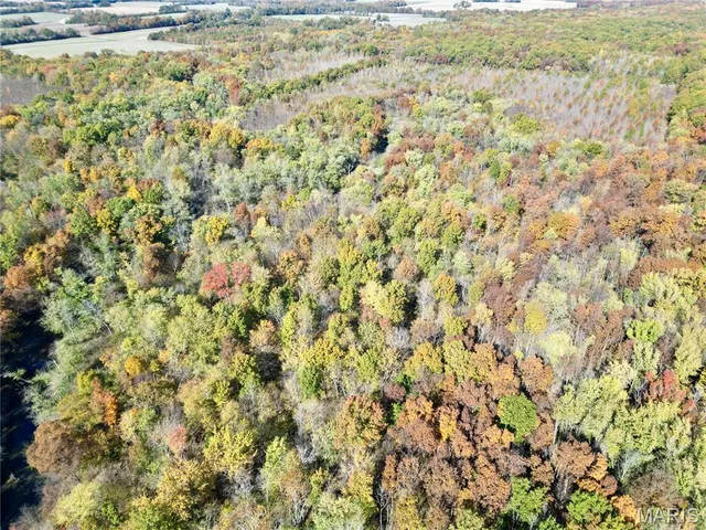 $385,000 | 0 East Elbow Lane, Noble, IL 62868