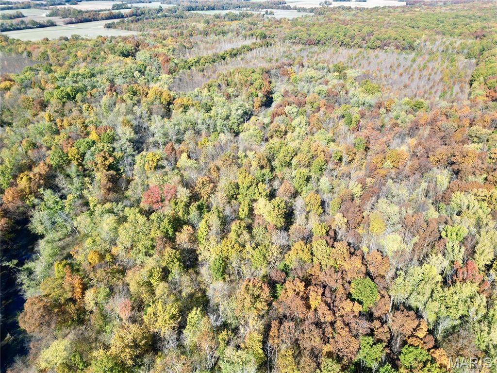 0 East Elbow Lane Noble, IL 62868 - Photo 9 of 29