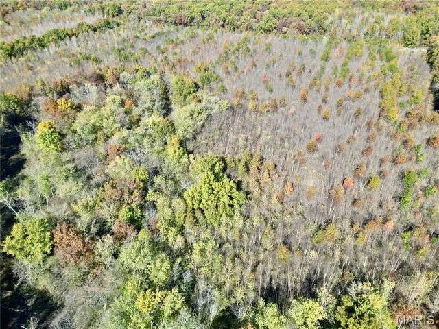 $385,000 | 0 East Elbow Lane, Noble, IL 62868